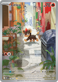 Litleo